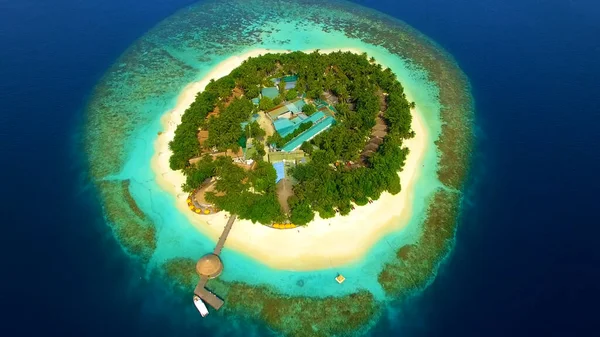 Вид Сверху Мальдивы Пальмы Песок Пляж — стоковое фото