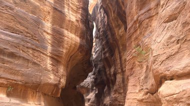 Petra-Nabataean kaya tapınağına giden turist rotası. Ürdün