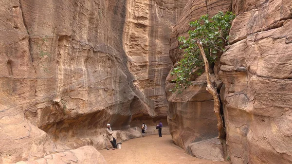 Ruta Turística Través Garganta Petra Templo Roca Nabatea Jordania —  Fotos de Stock