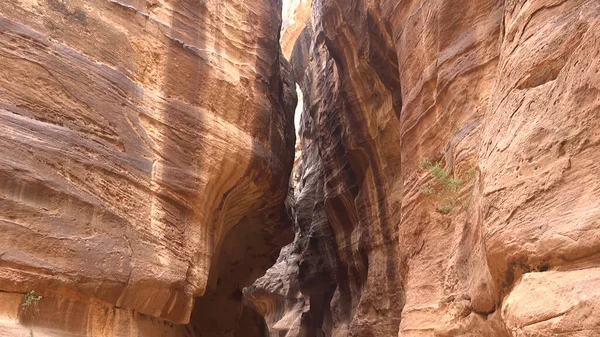 Rota Turística Através Desfiladeiro Para Petra Templo Rochoso Nabateu Jordânia — Fotografia de Stock