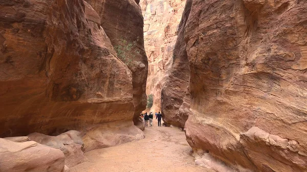 Petra-Nabataean kaya tapınağına giden turist rotası. Ürdün
