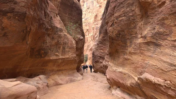Petra-Nabataean kaya tapınağına giden turist rotası. Ürdün