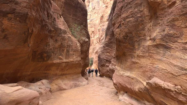 Turista Útvonal Szurdokon Keresztül Petra Nabataean Sziklatemplom Jordánia — Stock Fotó