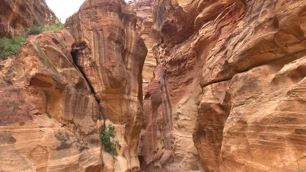 Turista Útvonal Szurdokon Keresztül Petra Nabataean Sziklatemplom Jordánia — Stock Fotó