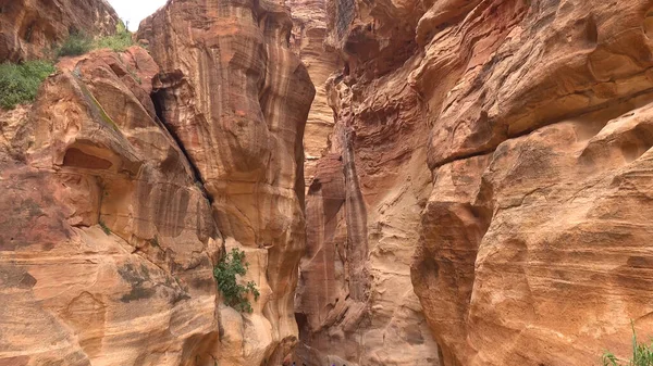 Rota Turística Através Desfiladeiro Para Petra Templo Rochoso Nabateu Jordânia — Fotografia de Stock