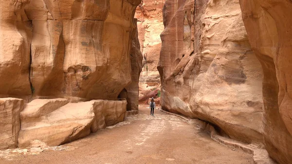 Petra-Nabataean kaya tapınağına giden turist rotası. Ürdün