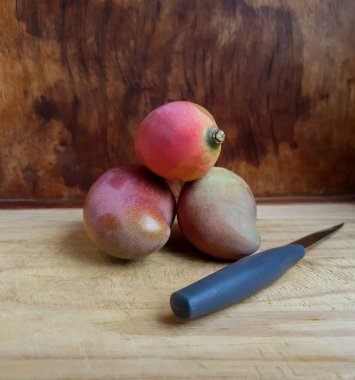 Eski, kahverengi, eski bir ahşap arka planı olan bir doğrama tahtasına yerleştirilmiş üç mangoya yakın çekim yapın. Basit ışıklandırma. Yemek reklamı. Ağaçtan topladım. kopyalama alanı. Dikey