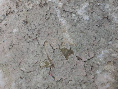 Kurumuş çamura, çatlaklara ve aşırı sıcak hava koşullarında buharlaşmış suyun yol açtığı pisliğe yakın durun.