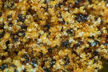 Sıcak bir içecek için pancar şekeri kristalleri ve hindiba taneleri.