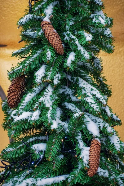 Snow Covered Green Christmas Tree Cones — Stock Photo, Image