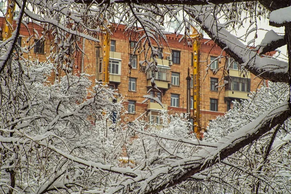 Sichtbar Durch Die Mit Schnee Und Frost Bestäubten Äste Der — Stockfoto