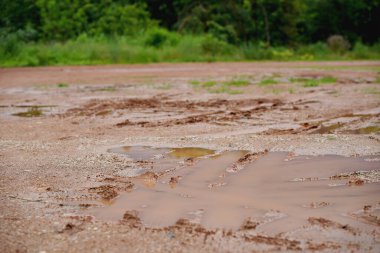 Yağmur mevsiminde çamurlu toprak ve arabanın lastik izleri..