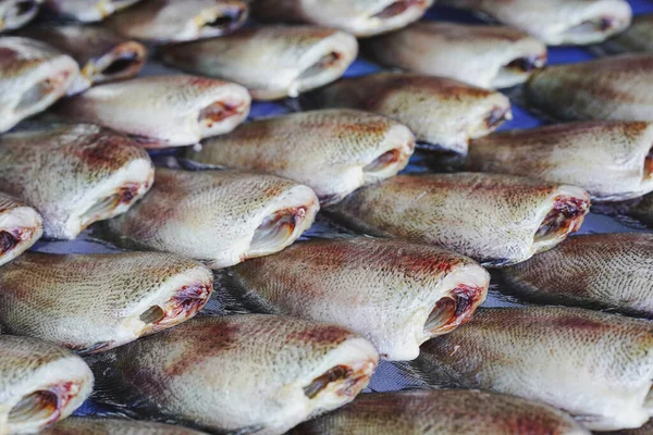 Gourami Piel Serpiente Seca Colocado Una Mesa Para Venta Una — Foto de Stock