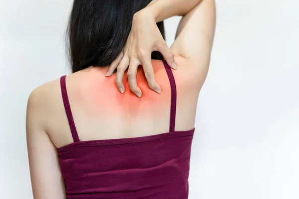 Women have back or shoulder pain from sitting incorrectly, exercising, or having office syndrome.