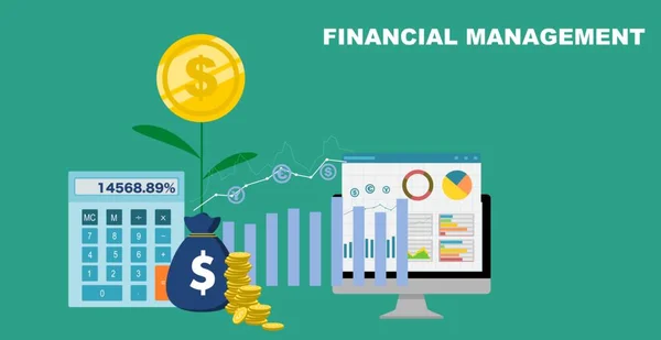 Gestão Financeira Conceito Gestão Capital Pulseira Eficaz Ilustração Vetorial Design —  Vetores de Stock