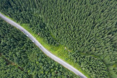 Ormanın yukarısından bak
