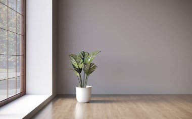 Modern içsel 3d görselleştirme  