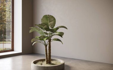 Modern içsel 3d görselleştirme  