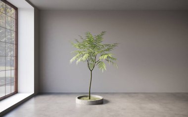 Modern içsel 3d görselleştirme  