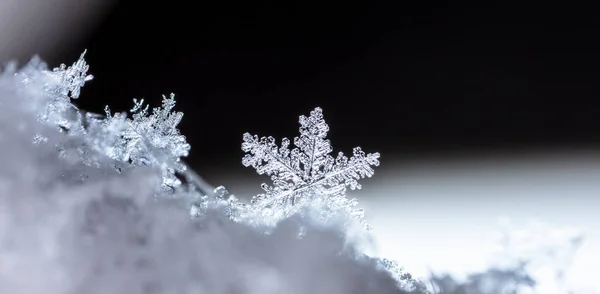 Макроснимок Снежинки — стоковое фото