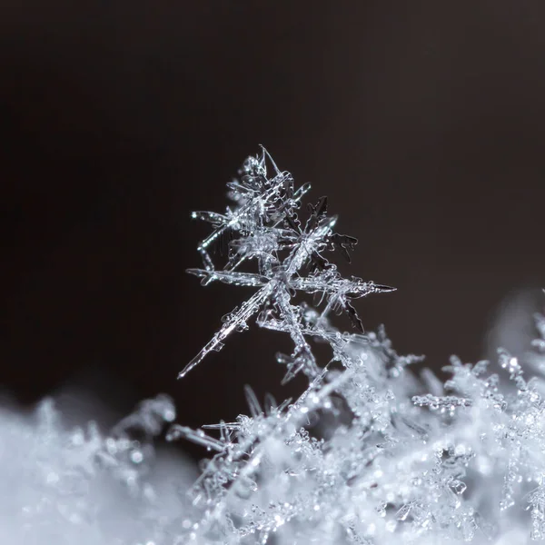 雪片のマクロ撮影 — ストック写真