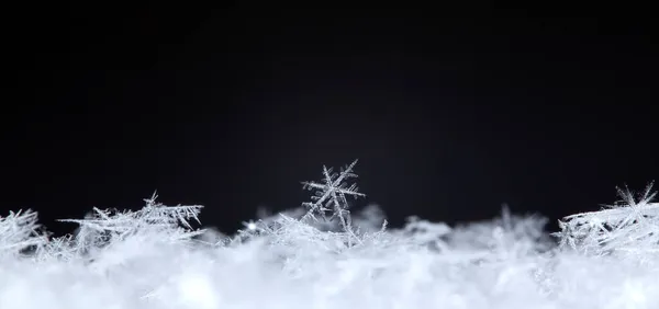 Makro Ujęcie Płatków Śniegu — Zdjęcie stockowe