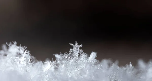 Makro Skott Snöflingor — Stockfoto