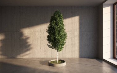 ev bitkisi, ağaç 3D oda içi