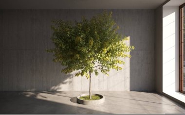 ev bitkisi, ağaç 3D oda içi