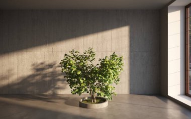 ev bitkisi, ağaç 3D oda içi