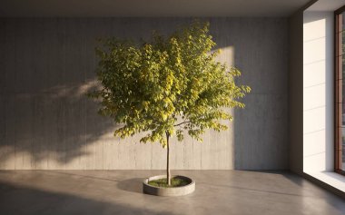 ev bitkisi, ağaç 3D oda içi