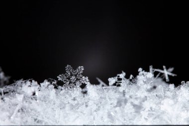 macro shot of snowflakes  clipart