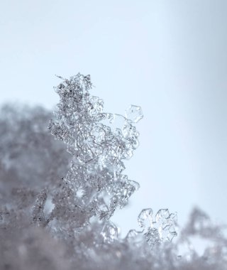 Kar tanelerinin makro görüntüsü 
