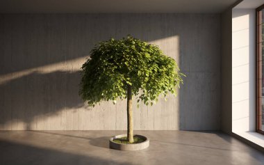 ev bitkisi, ağaç 3D oda içi