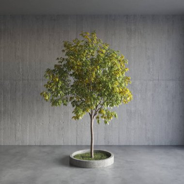 ev bitkisi, ağaç 3D oda içi