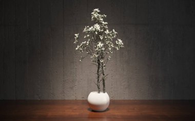 3D oda içindeki ev bitkisi