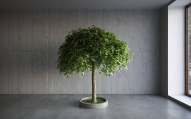 ev bitkisi, ağaç 3D oda içi