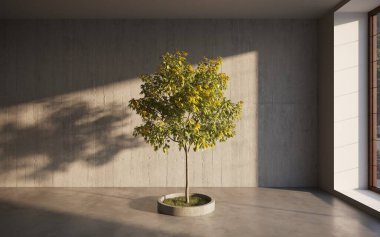 ev bitkisi, ağaç 3D oda içi