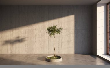 ev bitkisi, ağaç 3D oda içi