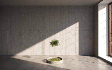 ev bitkisi, ağaç 3D oda içi