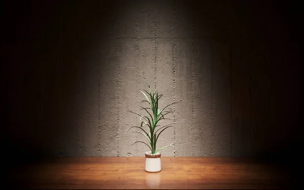 木製の背景に鍋には緑の植物 — ストック写真