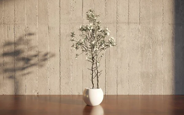 Home Plant Room Interior — Stock Photo, Image