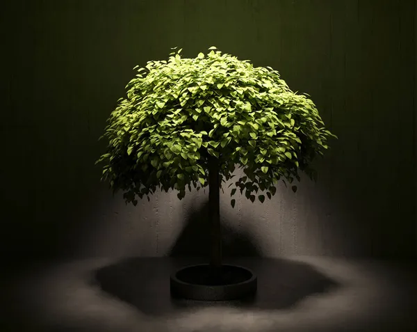 家庭用植物3D室内の木 — ストック写真