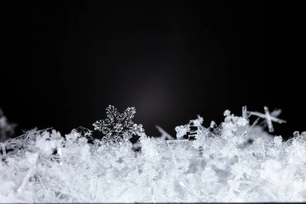 Μακροσκοπική Λήψη Νιφάδων Χιονιού — Φωτογραφία Αρχείου