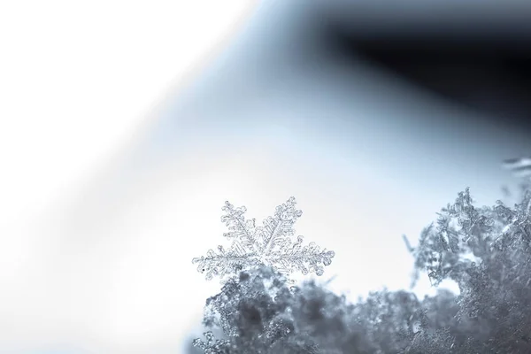 Tembakan Makro Dari Kepingan Salju — Stok Foto