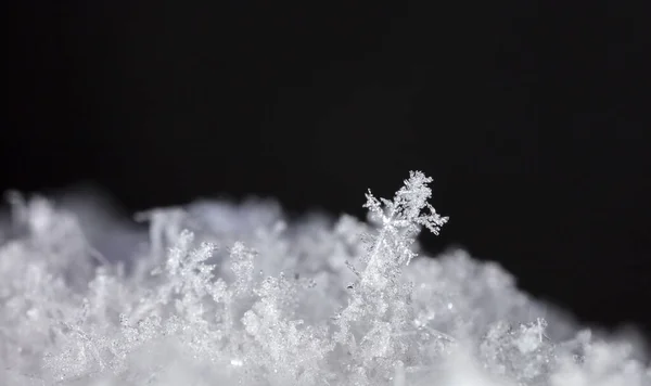 Macro Tiro Flocos Neve — Fotografia de Stock