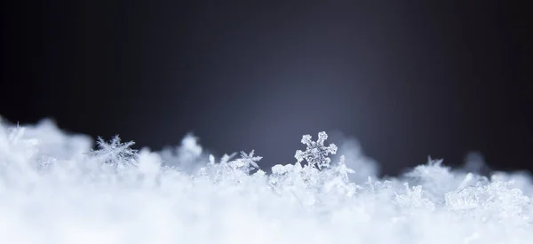 雪片のマクロ撮影 — ストック写真