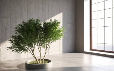 Gri arka planda çimento tenceresinde büyüyen yeşil dekoratif ağaç. 3B illüstrasyon, cg canlandırma