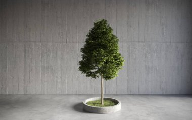 Gri arka planda çimento tenceresinde büyüyen yeşil dekoratif ağaç. 3B illüstrasyon, cg canlandırma