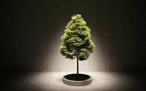 Árvore Decorativa Verde Crescendo Pote Cimento Fundo Parede Cinza Ilustração — Fotografia de Stock